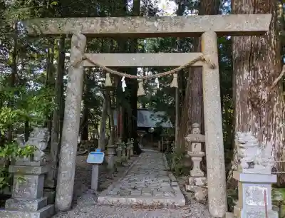飛鳥神社の{uncategorized: "未分類", other: "その他", undefined: "問題あり", building: "その他建物", grave: "お墓", sacred_gate: "鳥居", guardian: "狛犬", statue: "像", buddha: "仏像", history: "歴史", nature: "自然", garden: "庭園", animal: "動物", pagoda: "塔", temizu: "手水舎", mountain_gate: "山門・神門", sanctuary: "本殿・本堂", subordinate: "末社・摂社", art: "芸術", scenery: "景色", jizo: "地蔵", ema: "絵馬", goshuin: "御朱印", omikuji: "おみくじ", items: "授与品その他", amulet: "お守り", goshuincho: "御朱印帳", eats: "食事", festival: "お祭り", votive_dance: "神楽", shichigosan: "七五三参", wedding: "結婚式", experience: "体験その他", initially: "初詣", around: "周辺", anti_infection: "感染症対策"}