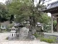 金蓮寺(愛知県)
