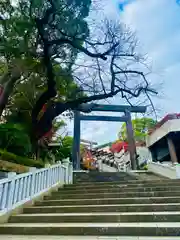 伊勢山皇大神宮の鳥居