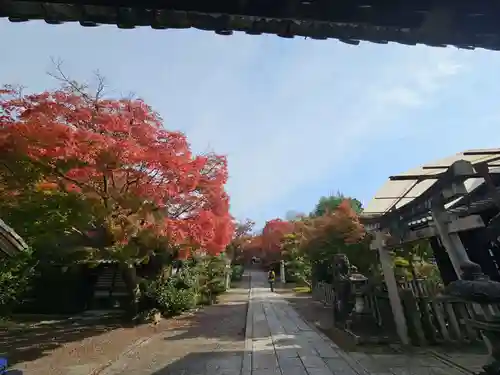 養源院(京都府)