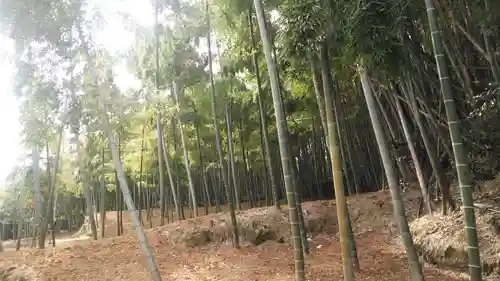 長法稲荷神社の自然