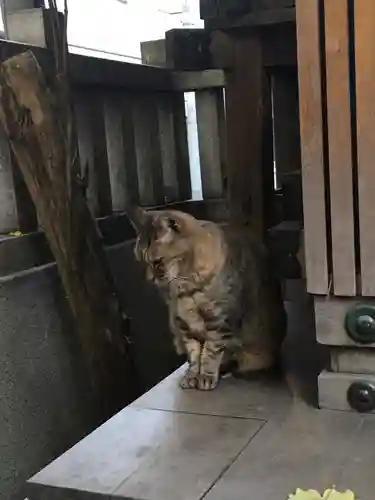小野照崎神社の動物