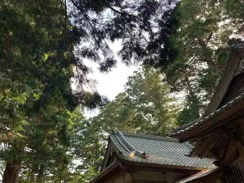 日枝神社のその他建物