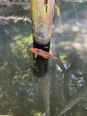 鹿島神宮(茨城県)