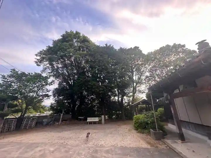 観音寺(足守神社)(和歌山県)