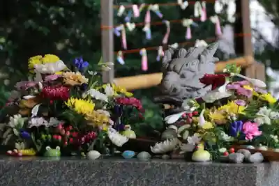 滑川神社 - 仕事と子どもの守り神の手水舎
