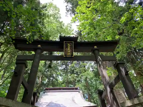 大山祇神社の鳥居