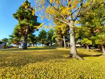 麓山神社の自然
