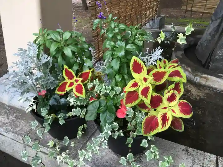 厚別神社のその他建物