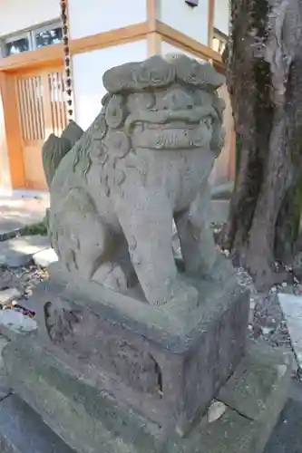 岩槻愛宕神社の狛犬