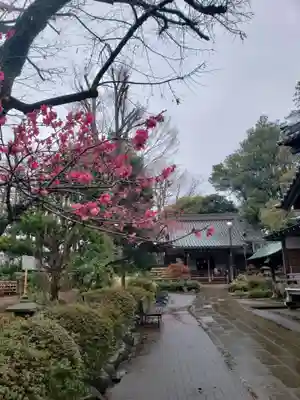 妙法寺(東京都)