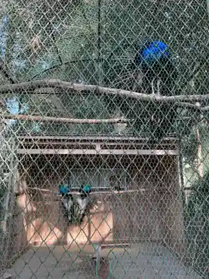 岩槻久伊豆神社(埼玉県)