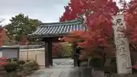 神光院(京都府)
