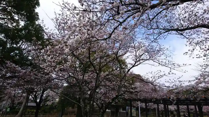 玉敷神社の庭園