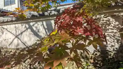 宝菩提院願徳寺(京都府)