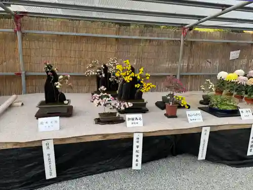 橿原神宮(奈良県)