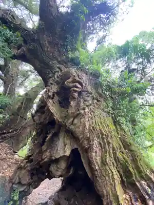 大山祇神社奥の院 生樹の御門(愛媛県)