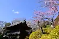 等覚院の山門・神門