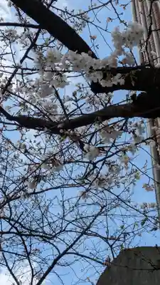 墨染寺（桜寺）(京都府)