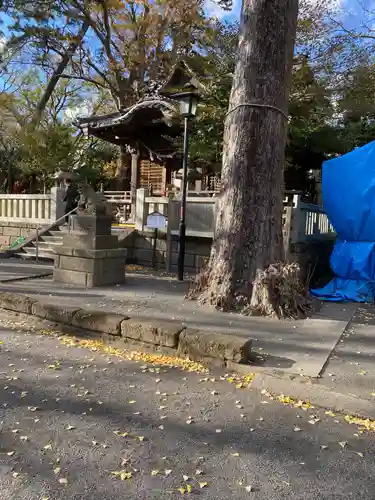 亀岡八幡宮（亀岡八幡神社）(神奈川県)