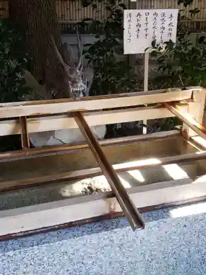 東京大神宮の手水舎