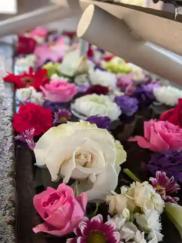鳩森八幡神社の手水舎