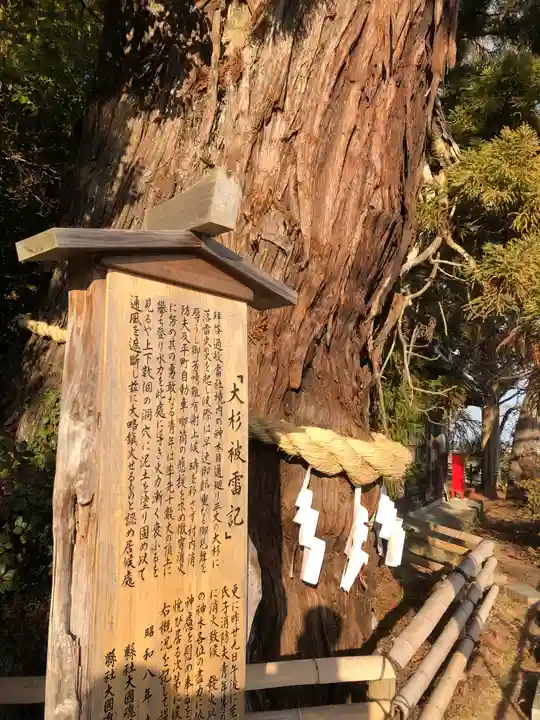 大國魂神社の自然