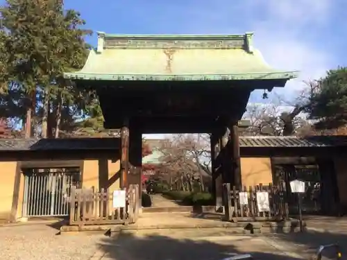 豪徳寺の山門・神門