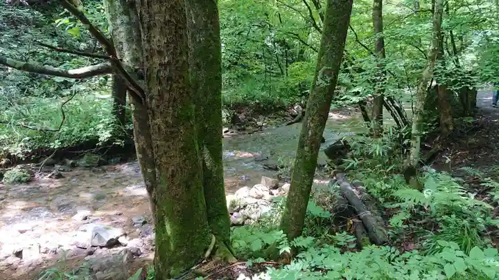 達沢不動滝の周辺