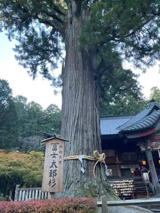 北口本宮冨士浅間神社(山梨県)