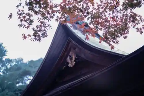 蚊里田八幡宮(長野県)