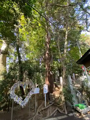 座間神社(神奈川県)