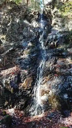 清瀧神社の自然