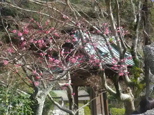 海蔵寺の庭園