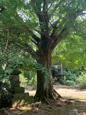 普賢院(千葉県)