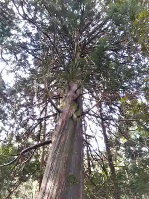 手速比咩神社（下社）(石川県)