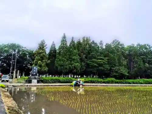 神明社（楽田青塚）の自然