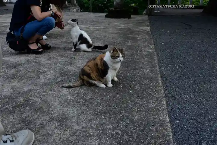 賀茂別雷神社(栃木県)