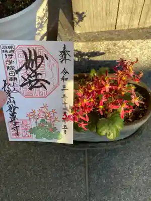 妙蓮寺(神奈川県)