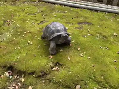 平松神社(鹿児島県)