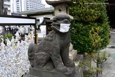 白鬚神社の狛犬