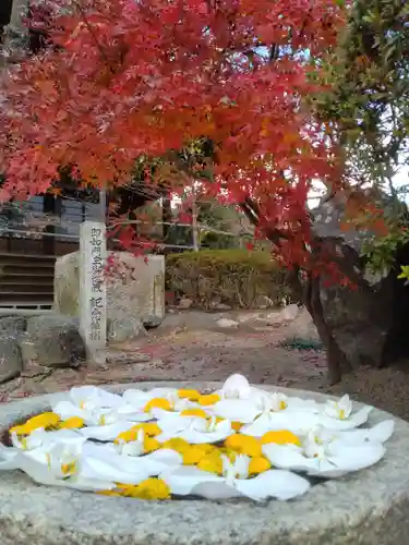浄誓寺(大阪府)