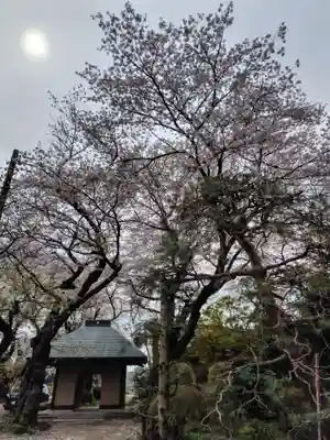 大蔵寺(埼玉県)