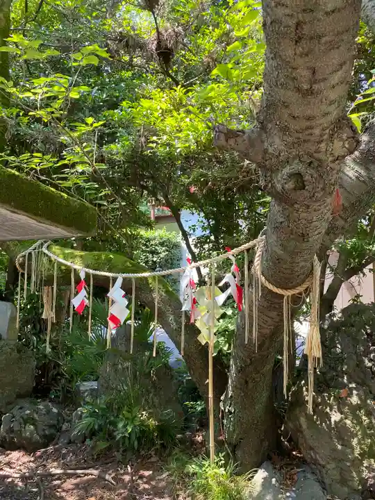 進雄神社の自然