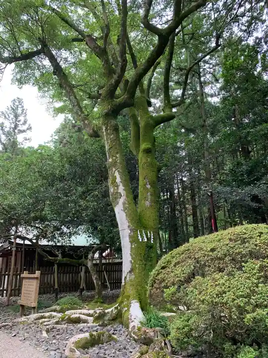 多田神社の自然