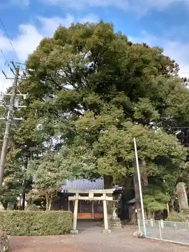 助宗大井神社の鳥居