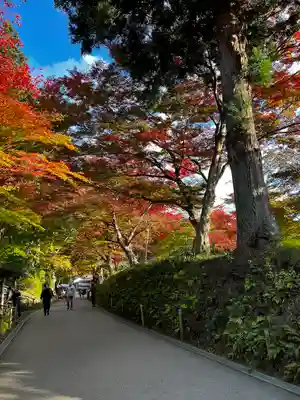 白山神社(岩手県)