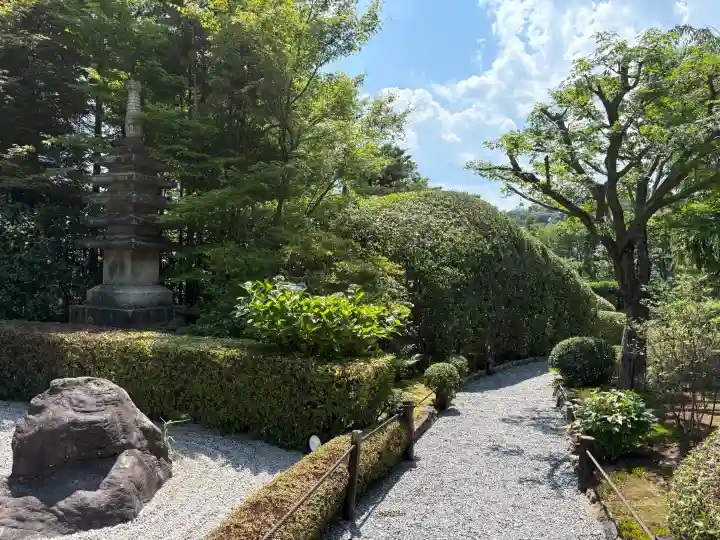 退蔵院(京都府)