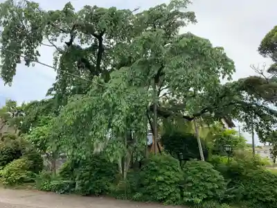 金蔵院(千葉県)