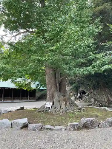 安房神社(千葉県)